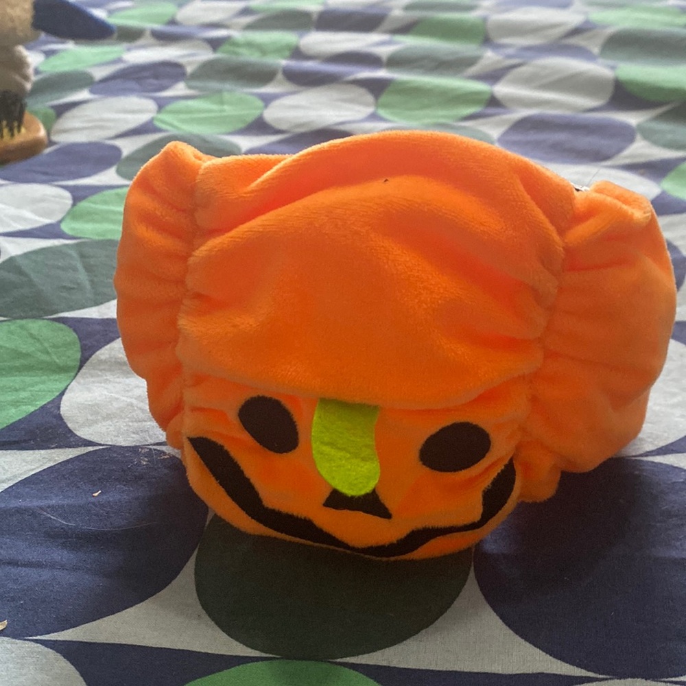 Cat/Small Dog Pumpkin Hat 🎃